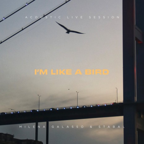 I'm Like A Bird (Acoustic Live Session) ft. STABAL | Boomplay Music