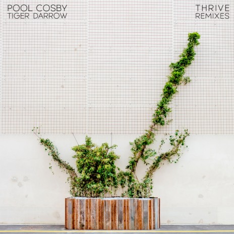 Thrive (Otto Botté Remix) [feat. Tiger Darrow] | Boomplay Music