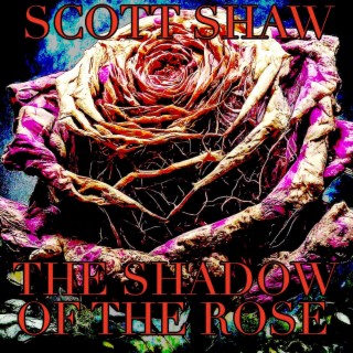 The Shadow of the Rose