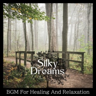 BGM For Healing And Relaxation