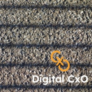 Digital CxO Podcast Ep. 2 - A Failure to Collaborate