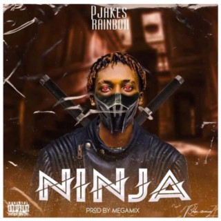 Ninja lyrics | Boomplay Music