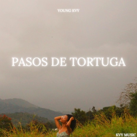 Pasos De Tortuga | Boomplay Music