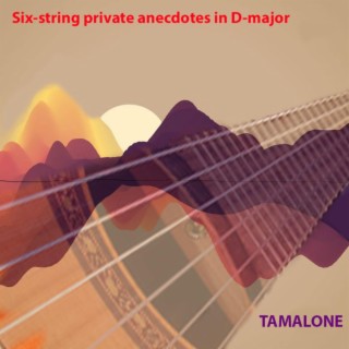 Six-string Private Anecdotes in D major