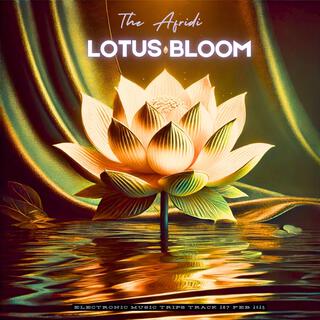 LOTUS BLOOM