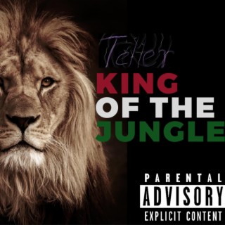 King Of The Jungle lyrics | Boomplay Music