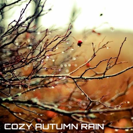 Cozy Rain Atmosphere ft. Cozy Rain Sounds & National Geographic Soundscapes | Boomplay Music