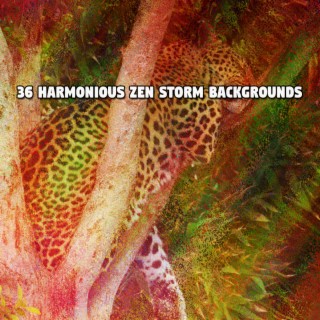 36 Harmonious Zen Storm Backgrounds