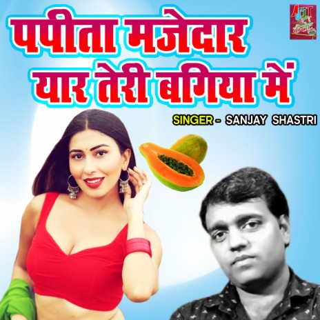 Papita Mazedar Yaar Teri Bagiya Main | Boomplay Music