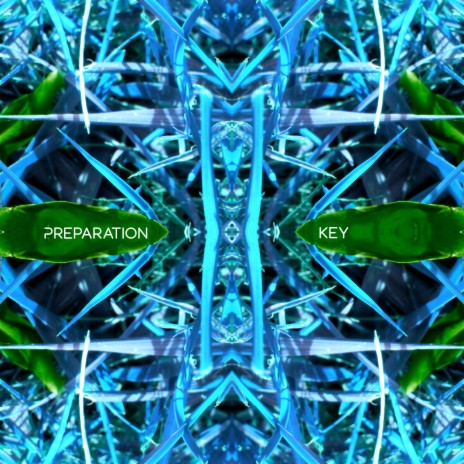 Preparation Key ft. Quail Beat5