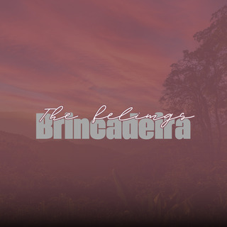 Brincadeira