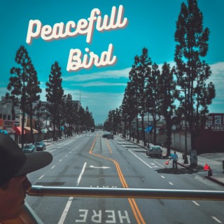 Peacefull Bird