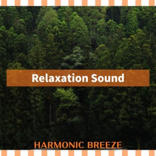 Relaxation Sound