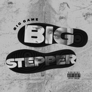 Big Stepper