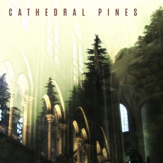 Cathedral Pines lyrics | Boomplay Music