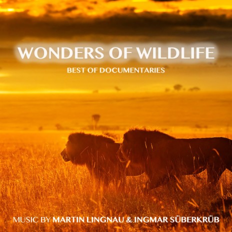 Warthog Dance (From The Incredible Five - a Cheetah's Tale) ft. Ingmar Süberkrüb | Boomplay Music