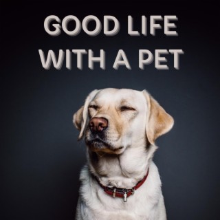 Good Life with a Pet