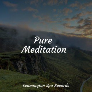 Pure Meditation