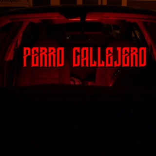 Perro callejero