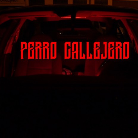 Perro callejero | Boomplay Music