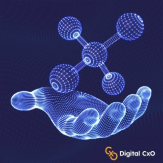 Digital CxO Podcast Ep. 19 - Digital DevOps