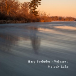 Harp Preludes, Vol. 3