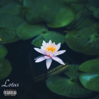 Lotus lyrics | Boomplay Music