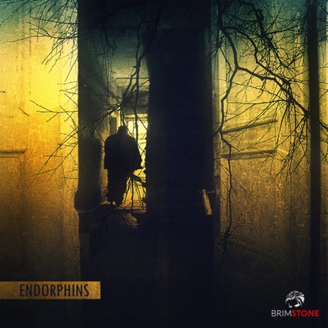 Endorphins (feat. Deep Silencio) | Boomplay Music