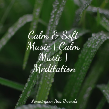 Meditative Waves | Boomplay Music