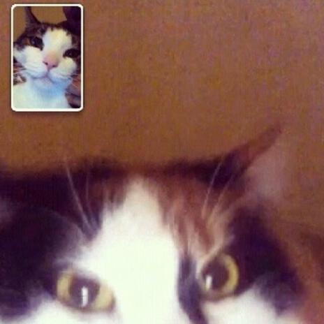 facetime