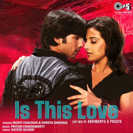 Is This Love (Lofi Mix) ft. Mohit Chauhan & Shreya Ghoshal | Boomplay Music