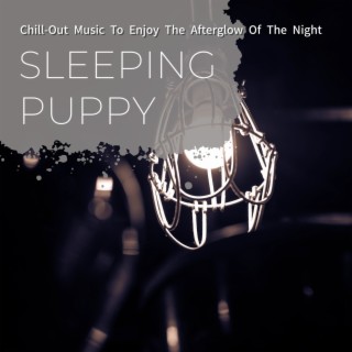 Chill-Out Music To Enjoy The Afterglow Of The Night