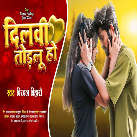 Dilwa Todlu Ho | Boomplay Music