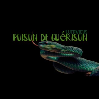 Poison de guérison lyrics | Boomplay Music