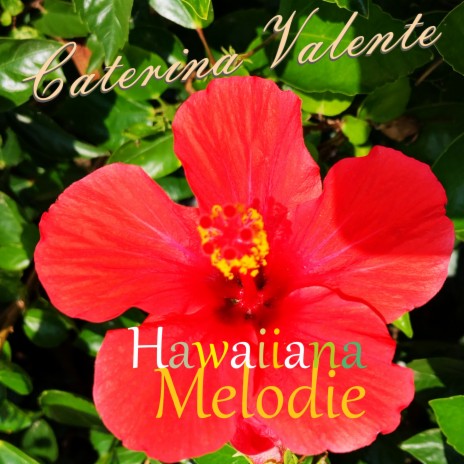 Hawaiiana Melodie | Boomplay Music