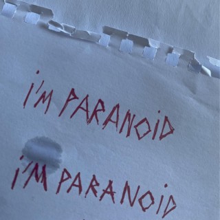 i'm paranoid