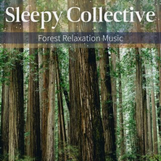 Forest Relaxation Music