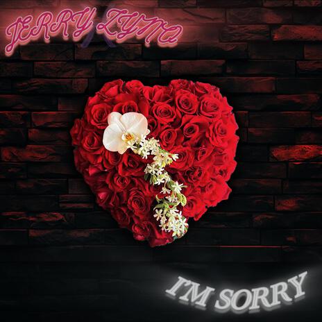 I'm Sorry | Boomplay Music