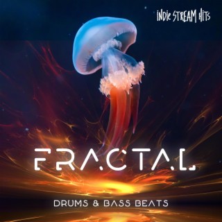 Fractal (Drums & Bass Beats)