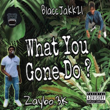 WHAT YOU GONE DO ? ft. Zaybo3k | Boomplay Music