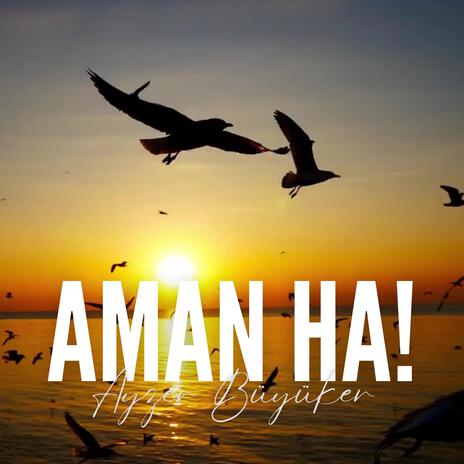 Aman Ha ! | Boomplay Music