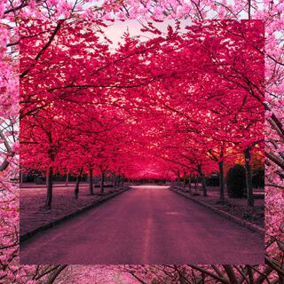 Down We Fall, Tape 8: In Cherry Blossoms