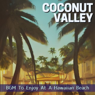 BGM To Enjoy At A Hawaiian Beach