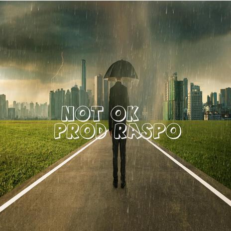 Not Ok | Boomplay Music