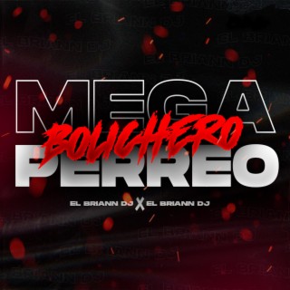 MEGA PERREO BOLICHERO