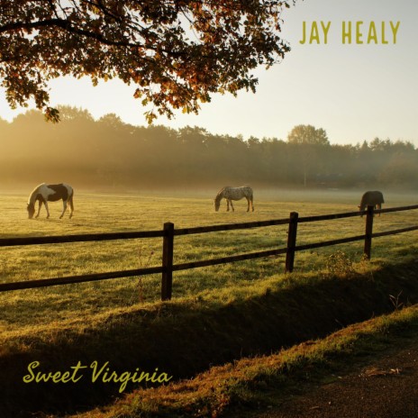 Sweet Virginia | Boomplay Music