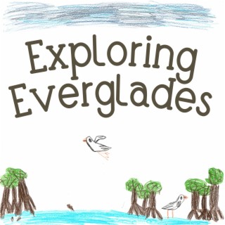 Exploring Everglades