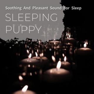 Soothing And Pleasant Sound For Sleep