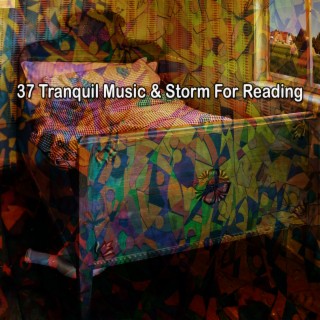 37 Tranquil Music & Storm For Reading