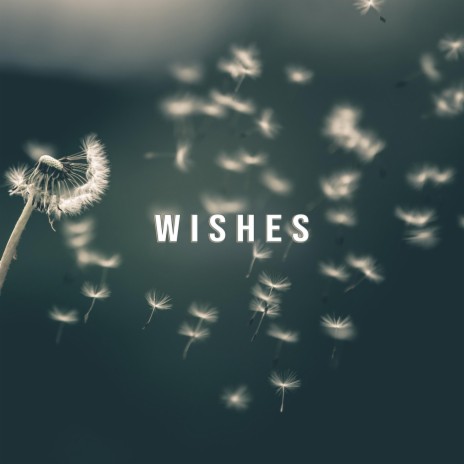 Wishes (Snowdrop OST Piano Instrumental Version) | Boomplay Music